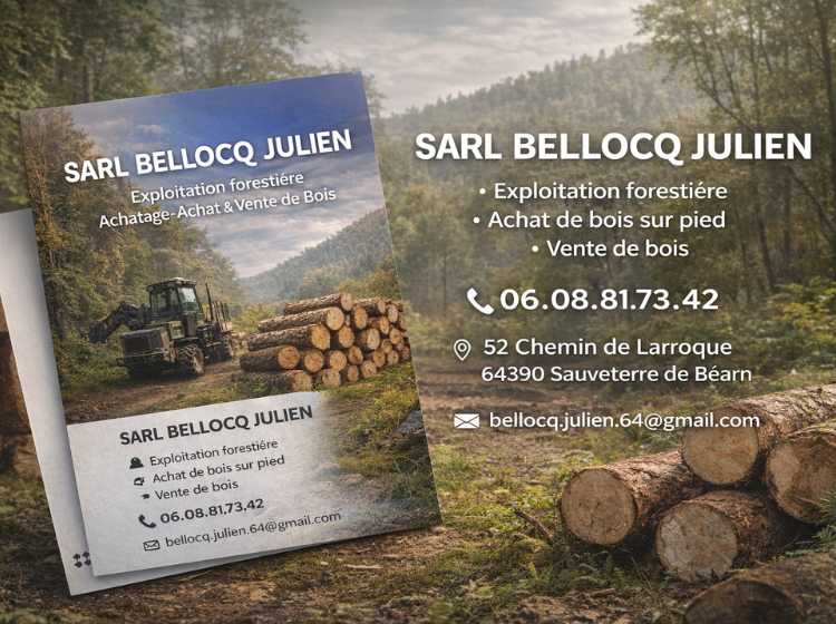 carte de visite bellocq