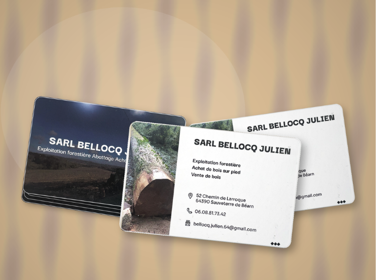 sarl bellocq carte